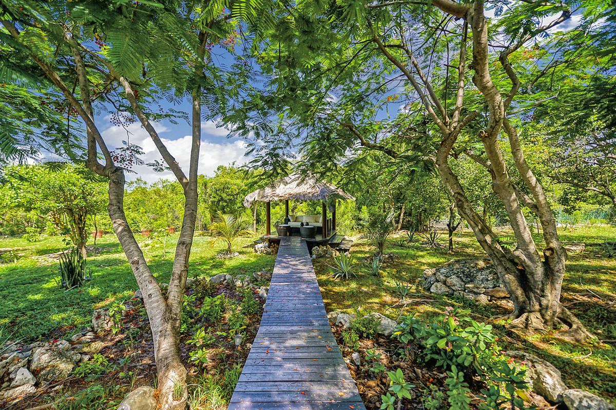 9.Location villa Encore aux Terrres Basses Saint Martin_Jardin